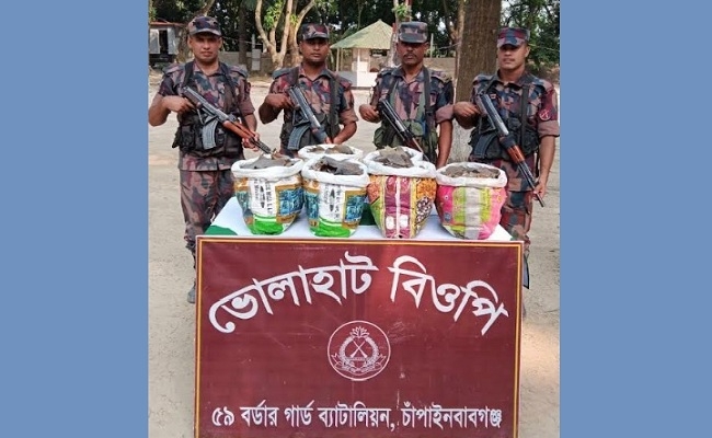 ৩০ কেজি কচ্ছপের হাড় জব্দ করেছে বিজিবি 